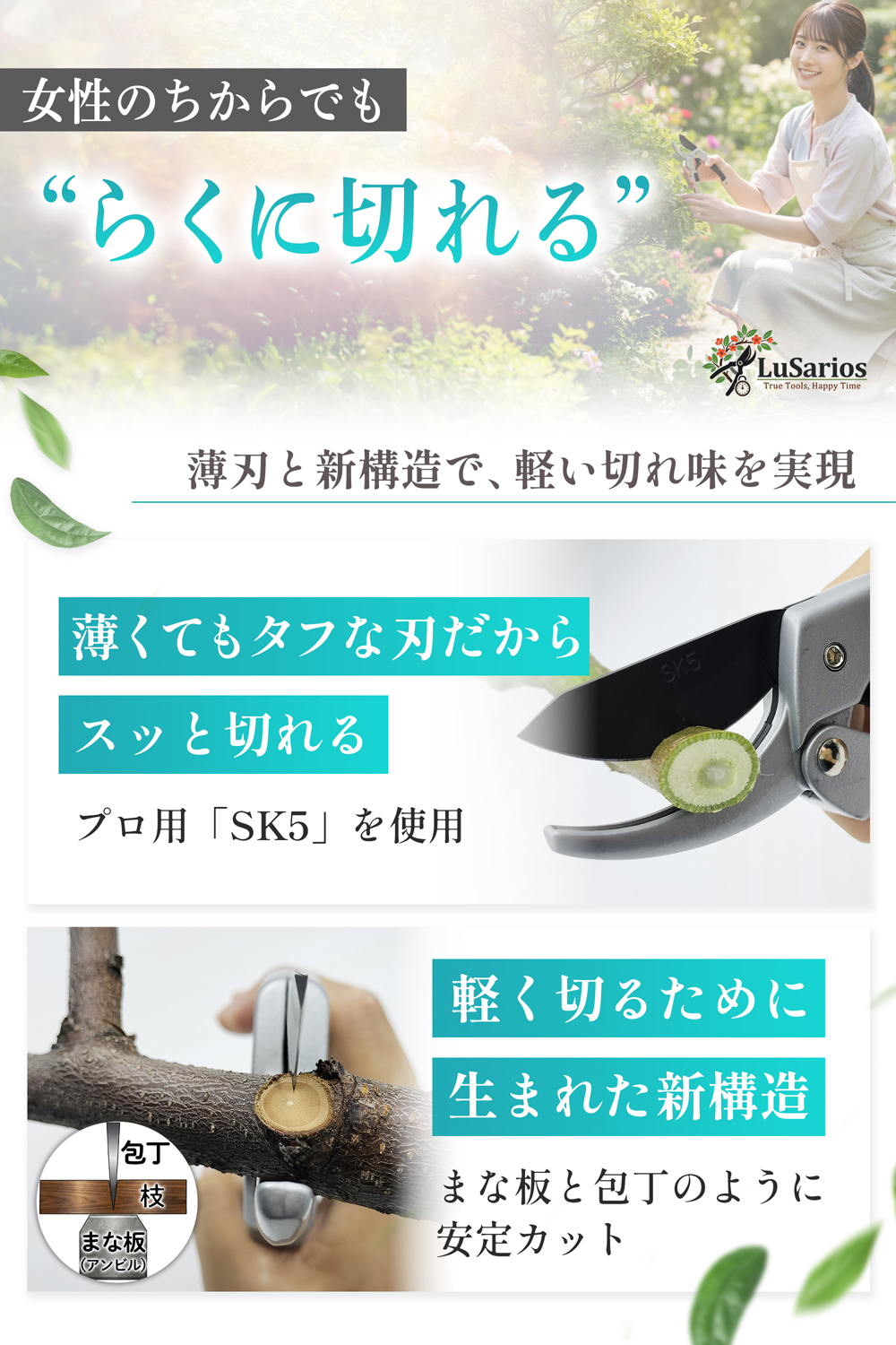 剪定ばさみ 画像